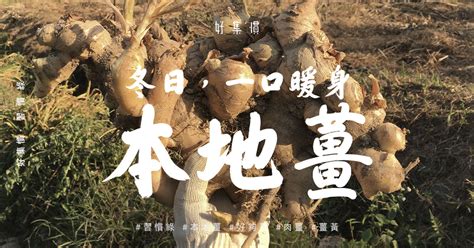 本地薑意思|本地薑意思 